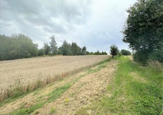 grundstuck zu verkaufen - Bielsko-Biała, Kamienica