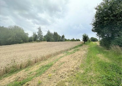 grundstuck zu verkaufen - Bielsko-Biała, Kamienica