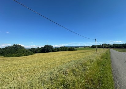 działka na sprzedaż - Jasienica, Łazy
