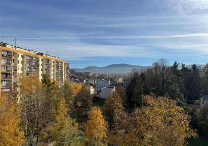 wohnung zu verkaufen - Bielsko-Biała, Biała Śródmieście