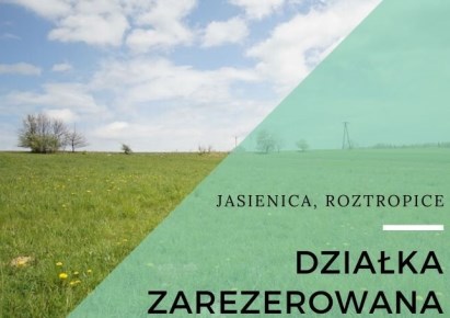 parcel for sale - Jasienica, Roztropice