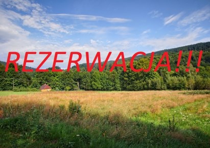 działka na sprzedaż - Jasienica, Grodziec